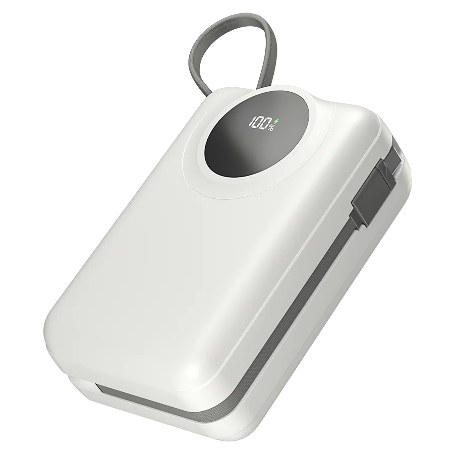 Megawatt | 30000 mAh Power Bank  65 Watt Max | Built-in Type-C Cable